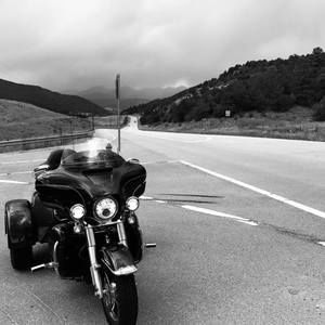 Meet your Posher, Danita